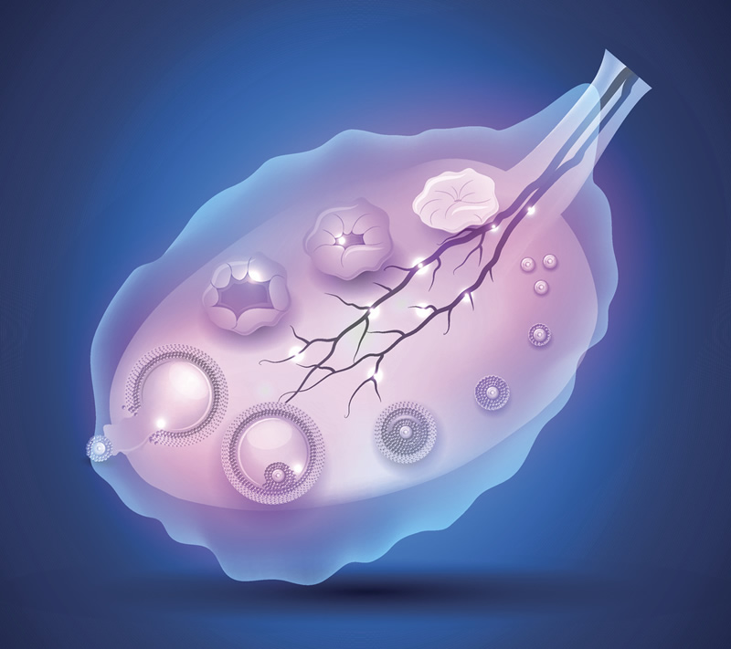 2026年南宁试管婴儿医院实力盘点：公立与私立机构技术解析及生男孩相关问题探讨